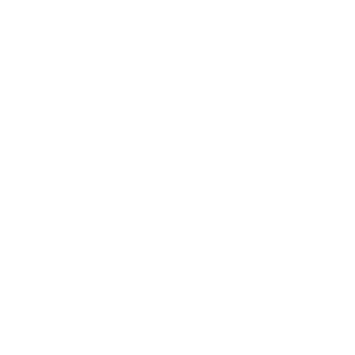 Air France KLM Logo